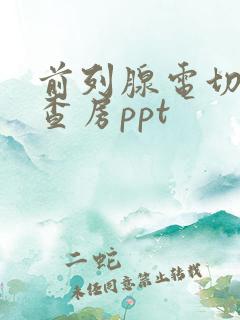 前列腺电切护理查房ppt