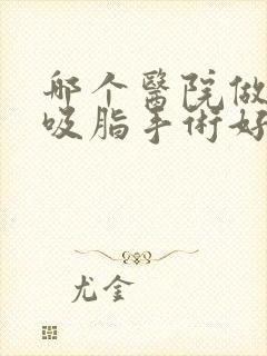 哪个医院做腰部吸脂手术好