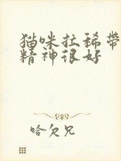 猫咪拉稀带血但精神很好