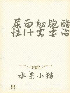 尿白细胞酯酶阳性1+需要治疗吗