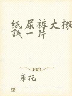 纸尿裤大概多少钱一片