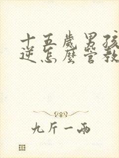 十五岁男孩子叛逆怎么管教更有效