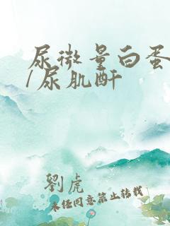 尿微量白蛋白高/尿肌酐