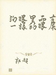 狗眼里面有像脓一样的眼屎怎么回事