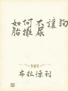 如何不让狗在轮胎撒尿