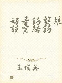 好看的系统流小说完结的