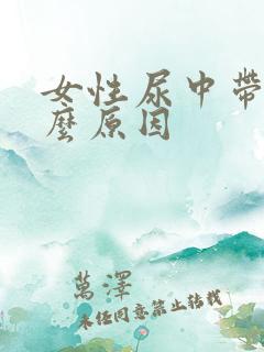 女性尿中带血什么原因