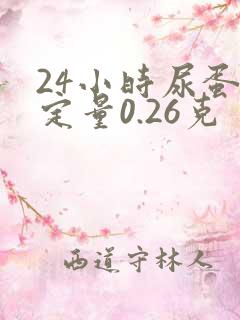 24小时尿蛋白定量0.26克