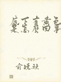 底下有黄色液体是怎么回事