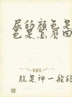 尿的颜色是橘红色是怎么回事