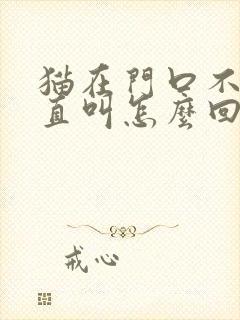 猫在门口不走一直叫怎么回事