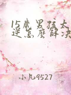 15岁男孩太叛逆怎么解决