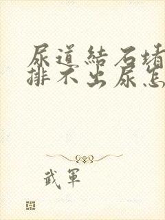 尿道结石堵住了排不出尿怎么办