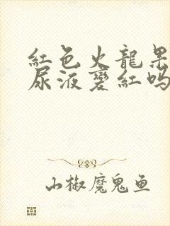 红色火龙果会让尿液变红吗