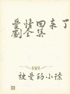 爱情回来了电视剧全集