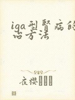 iga型肾病的治方法