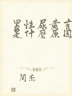 男性尿黄有泡泡是什么原因