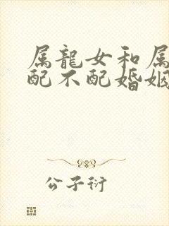 属龙女和属鸡男配不配婚姻