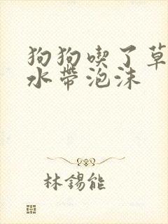 狗狗吃了草吐黄水带泡沫