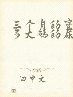 三个月的宝宝用多大码的尿不湿