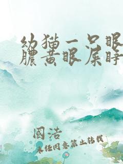 幼猫一只眼睛有脓黄眼屎睁不开