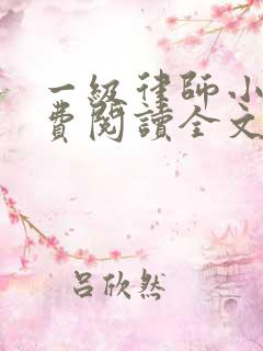 一级律师小说免费阅读全文