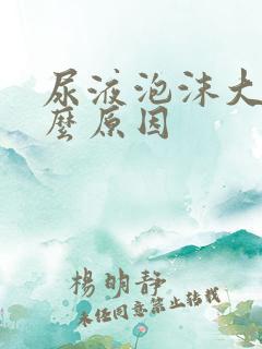 尿液泡沫大是什么原因