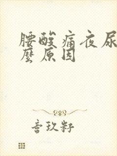 腰酸痛夜尿多什么原因