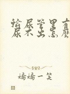 输尿管里有结石尿不出怎么办