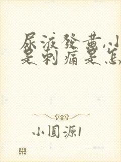 尿液发黄,小便是刺痛是怎么回事?