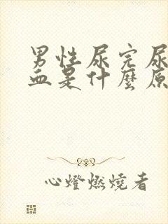 男性尿完尿后有血是什么原因