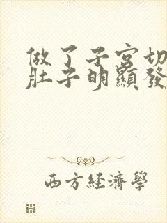 做了子宫切除后肚子明显发胖是怎么回事