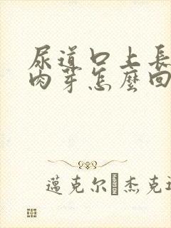 尿道口上长了小肉芽怎么回事