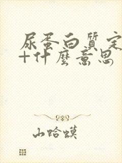 尿蛋白质定性1+什么意思