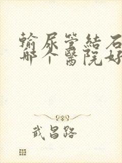 输尿管结石治疗哪个医院好