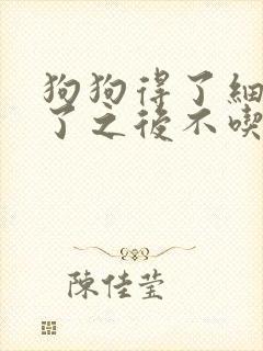 狗狗得了细小好了之后不吃东西怎么办