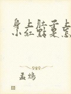 身上肚子上长的小红点是怎么回事