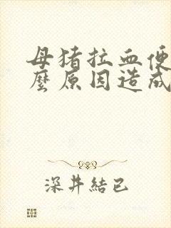 母猪拉血便是什么原因造成的