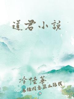 道君小说