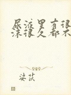 尿液里有很多泡沫很久都不消失