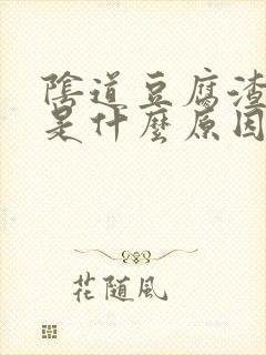 阴道豆腐渣东西是什么原因