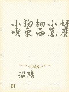 小狗细小好了不吃东西怎么办