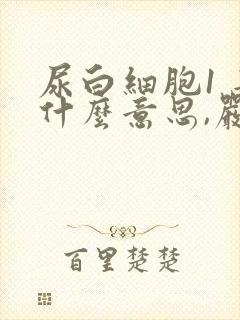 尿白细胞1 是什么意思,严重吗