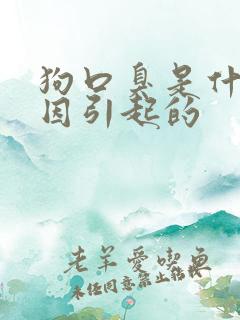 狗口臭是什么原因引起的