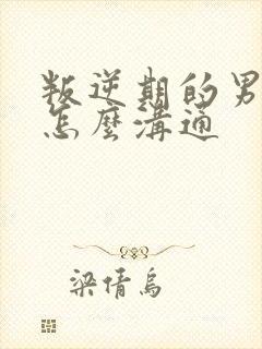 叛逆期的男孩子怎么沟通