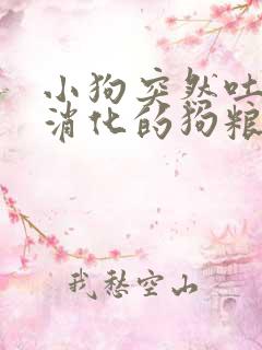 小狗突然吐了没消化的狗粮