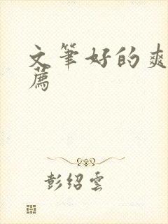 文笔好的爽文推荐