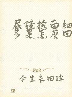 尿镜检白细胞增多是怎么回事