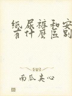 纸尿裤和安睡裤有什么区别