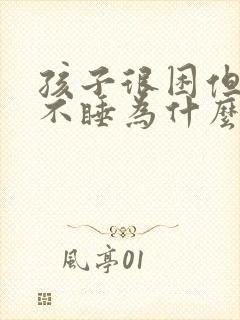 孩子很困但就是不睡为什么